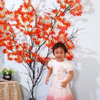 uploads/erp/collection/images/Home Garden/CongDing/XU0610382/img_b/XU0610382_img_b_4